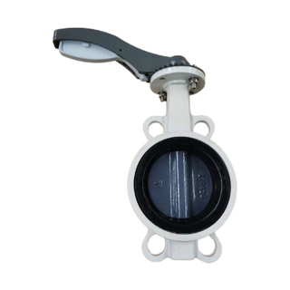 dn50 butterfly valve