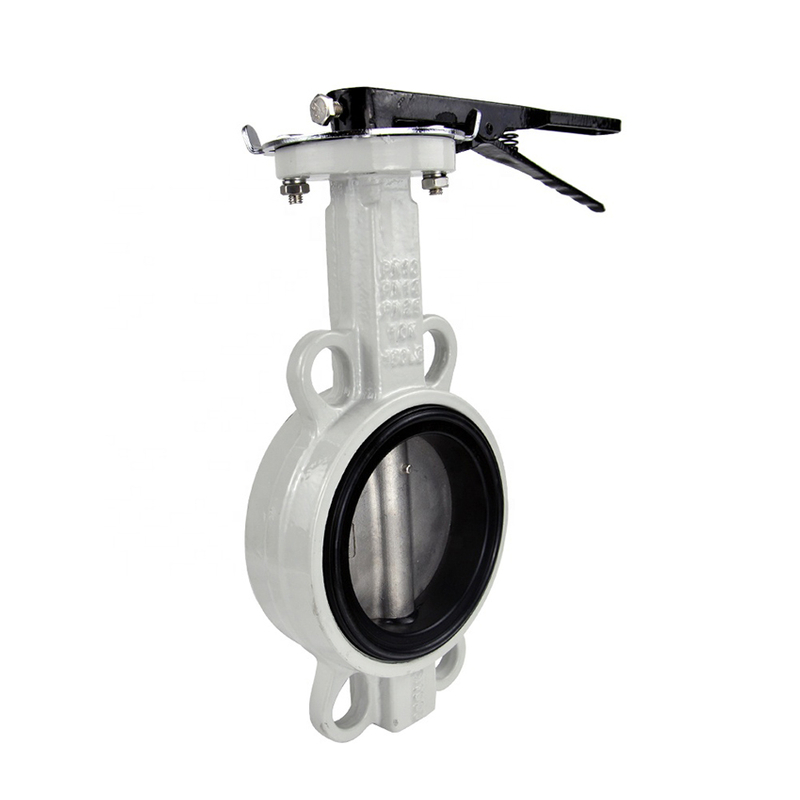 butterfly valve 100mm