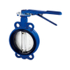 dn 100 butterfly valve