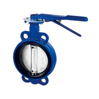dn 100 butterfly valve