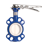 Dn40 Butterfly Valve