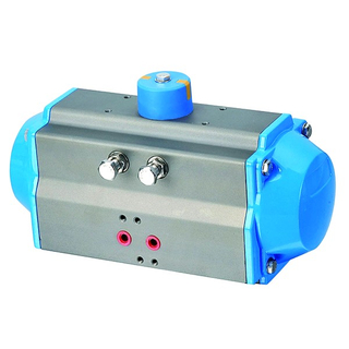 Pneumatic Actuator