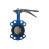 2.5 butterfly valve