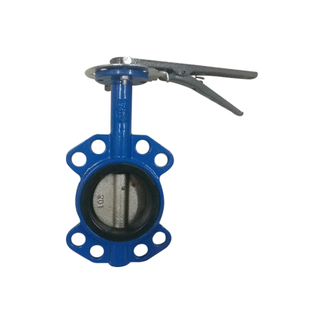 2.5 butterfly valve