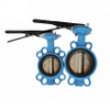 butterfly valve 2.5 inch
