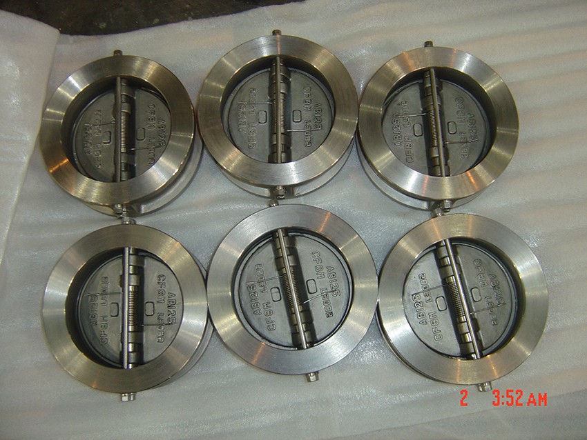 Stainless Steel Wafer Dual-Plate Check Valve (2)