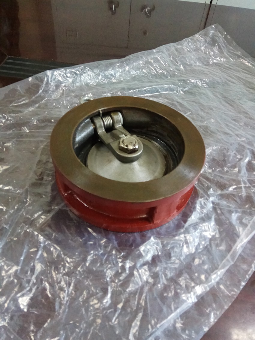 Cast Iron Wafer Single Plate Check Valve (3)