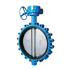 Lug Type Butterfly Valve