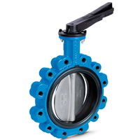 Lug Type Butterfly Valve Manufacturers 