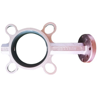 Butterfly Valve Body