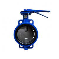dn125 butterfly valve