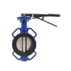 butterfly valve dn 100