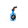 Butterfly Valve Wafer Type dn80 malaysia