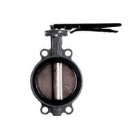 dn65 butterfly valve