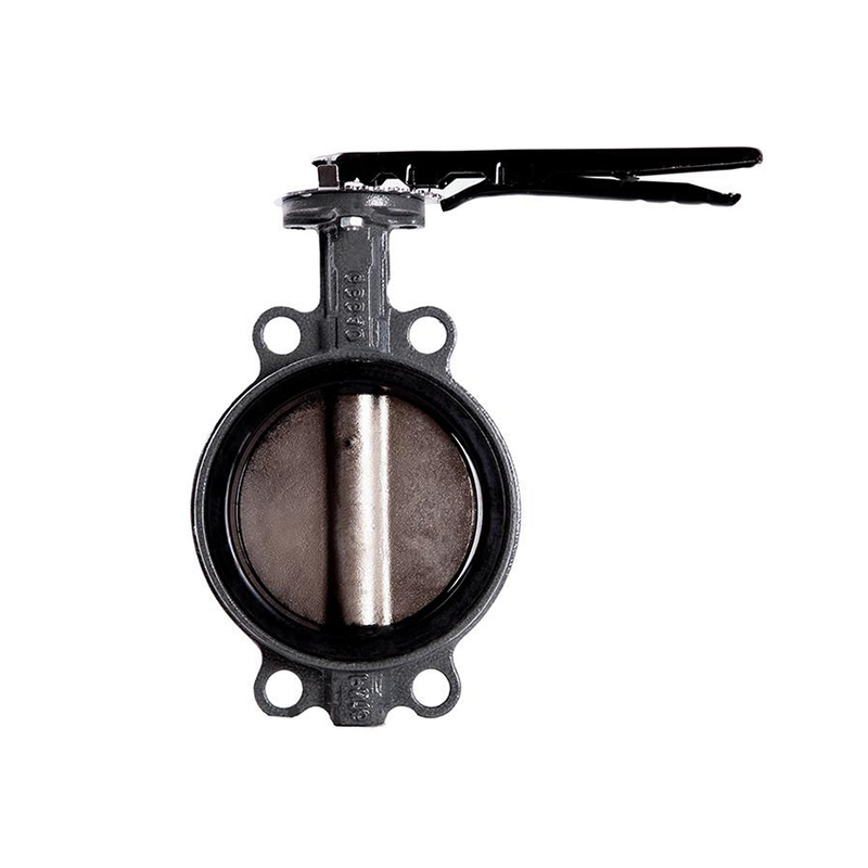 dn65 butterfly valve