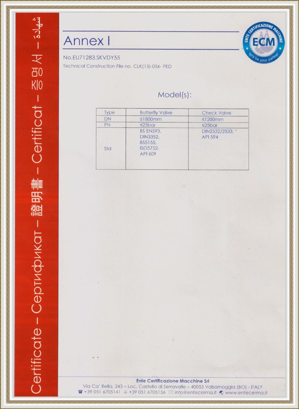 DEIFEI VALVE ISO (2)