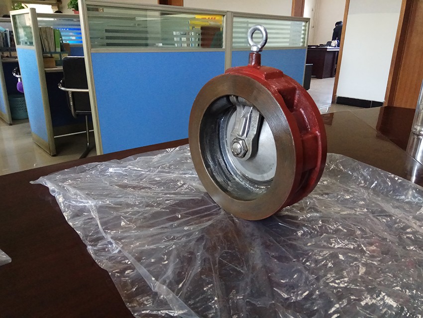 Cast Iron Wafer Single Plate Check Valve (2)