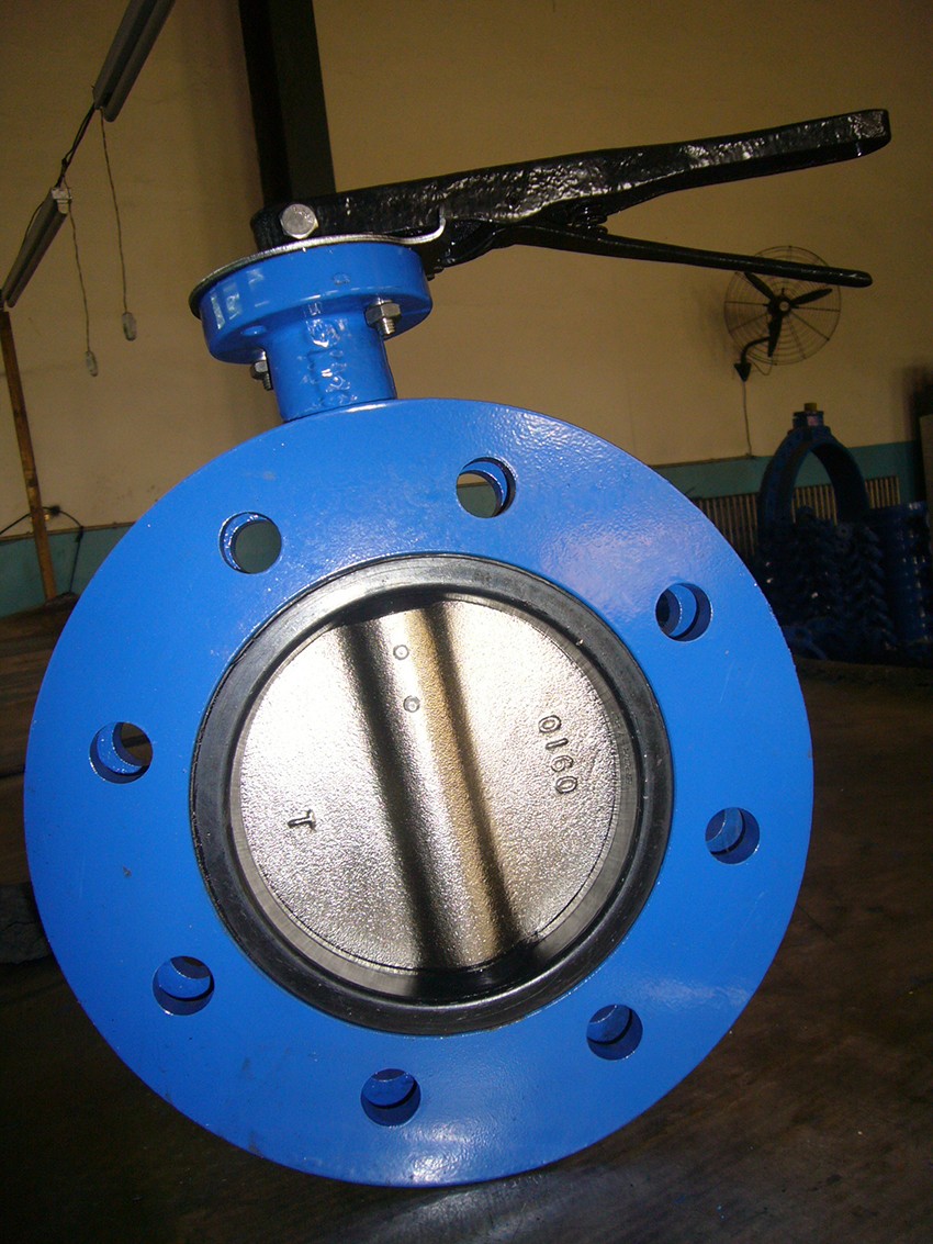 U Type Flange Butterfly Valve