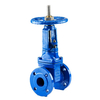 ANSI Gate Valve