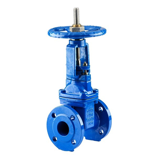 ANSI Gate Valve