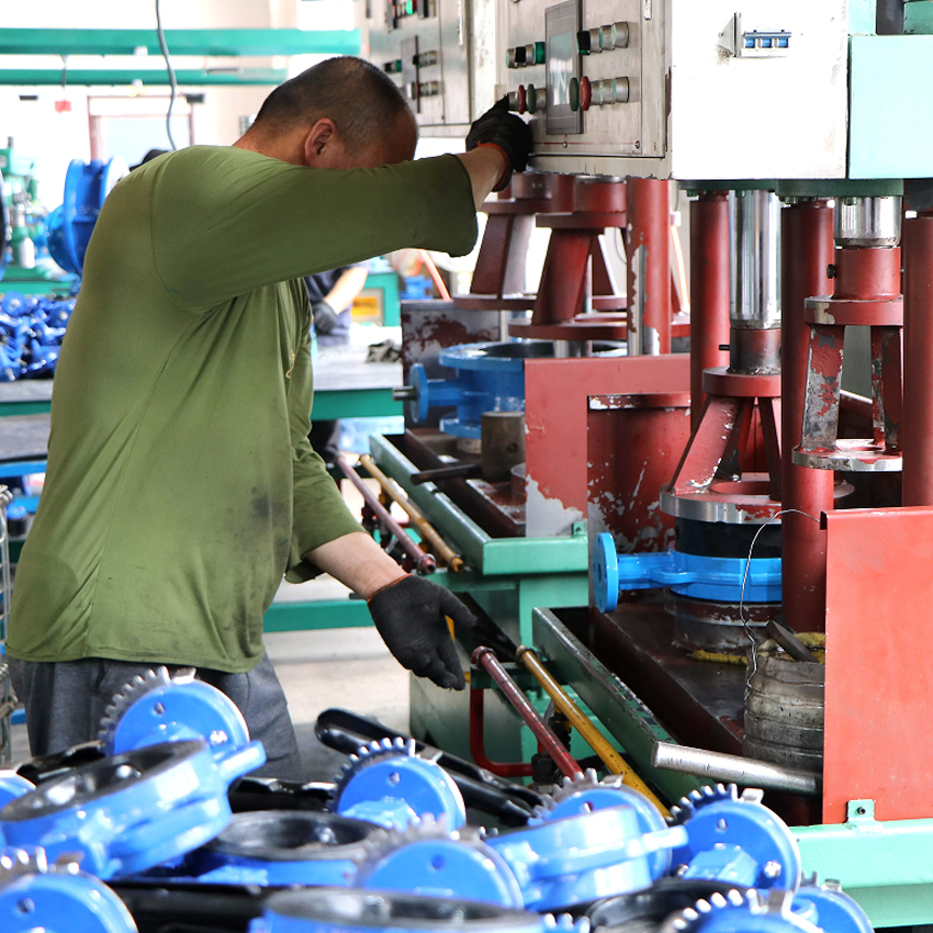 2.5 inch butterfly valve factory