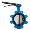 Lug Type Butterfly Valve Suppliers 