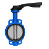dn 80 butterfly valve
