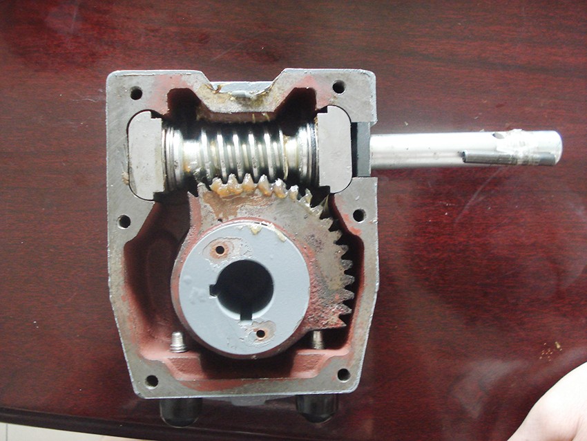 Moo Type Gear Box (2)