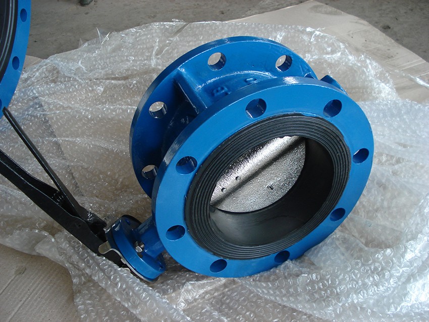 Center Line Flange Butterfly Valve (2)