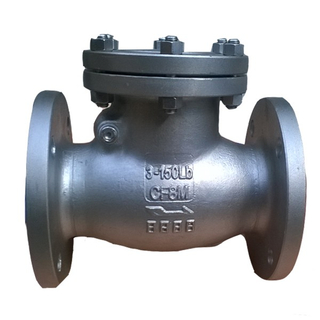 Swing Flange Check Valve