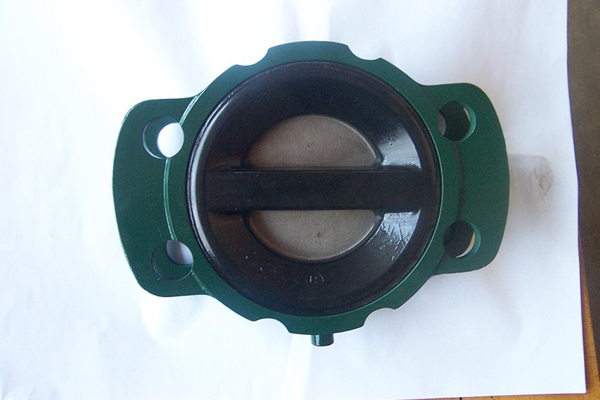800 Series Check Valve (2)