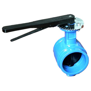 Groove End Butterfly Valve