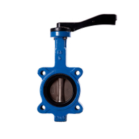 butterfly valve pvc 6 inch