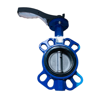 butterfly valve dn100