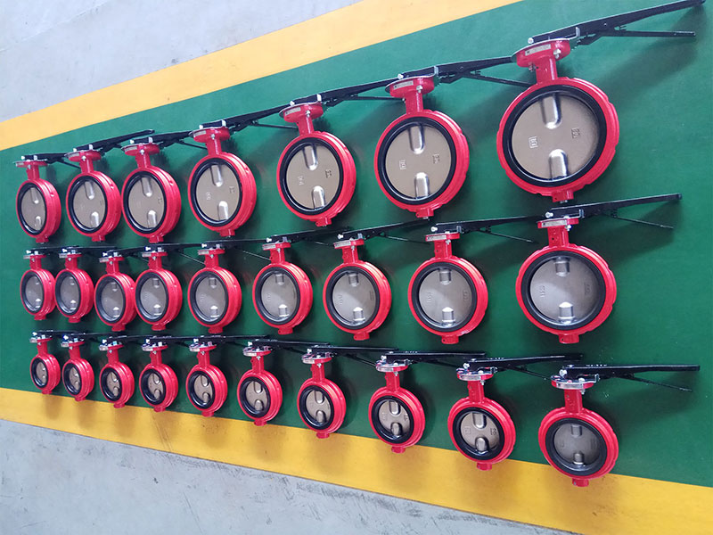 2.5 inch butterfly valve