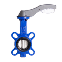 Butterfly Valve DN125