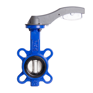 Butterfly Valve DN125