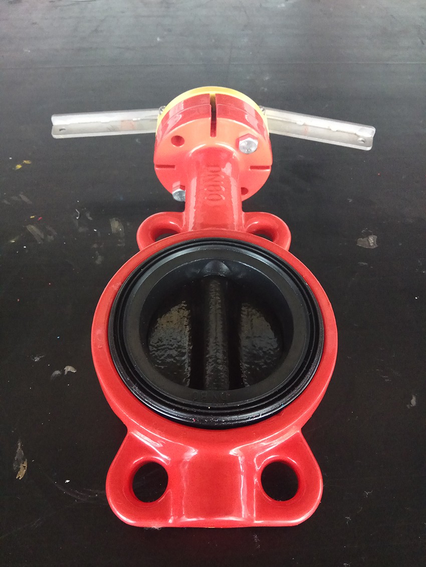Disc Epoxy Spray Butterfly Valve (2)
