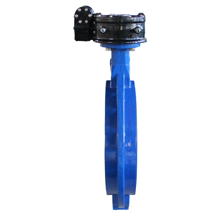 Butterfly Valve Wafer Type dn550