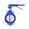 Butterfly valve 14 inch price in saudi arabia
