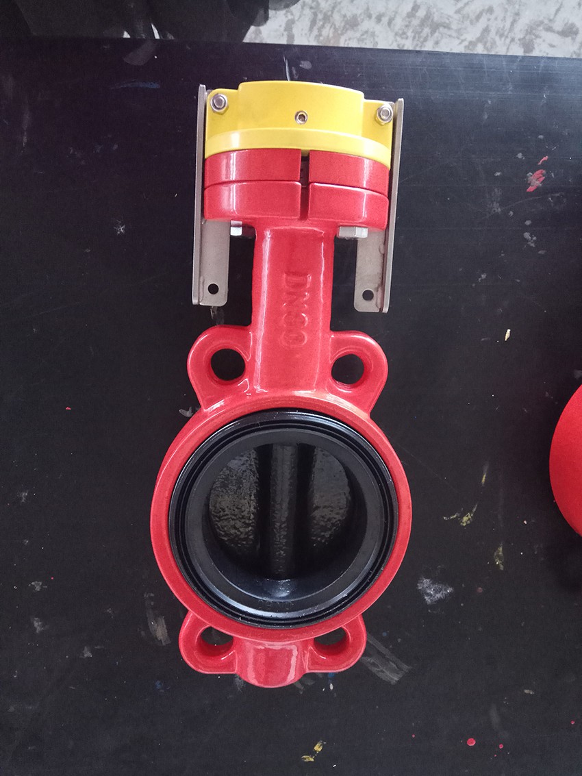 Disc Epoxy Spray Butterfly Valve